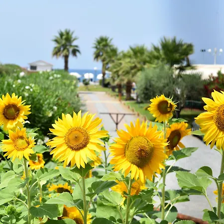 Parco Dei Principi Scalea